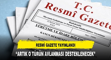 Balon Balığı Avcılığının Desteklenmesi Kararı Resmi Gazete'de Yayımlandı