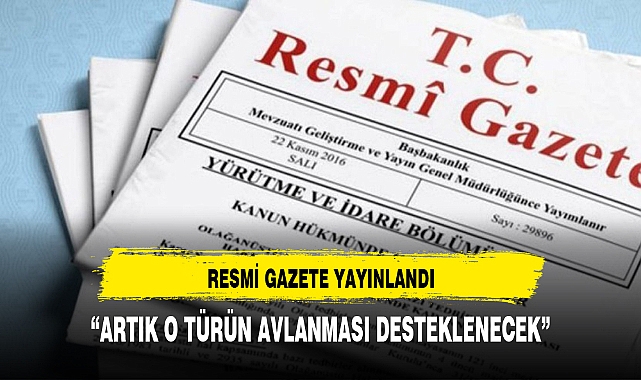 Balon Balığı Avcılığının Desteklenmesi Kararı Resmi Gazete'de Yayımlandı