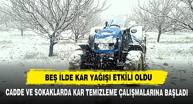Beş İlde Kar Yağışı Etkili Oldu