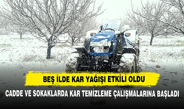 Beş İlde Kar Yağışı Etkili Oldu