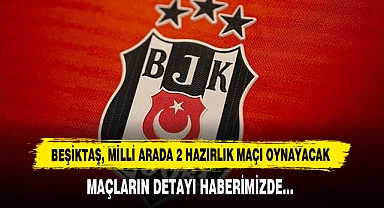 Beşiktaş, Milli Arada 2 Hazırlık Maçı Oynayacak