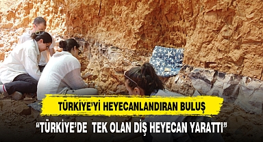 Beyağaç'ta Türkiye tek örnek olan fil dişi fosili bulundu