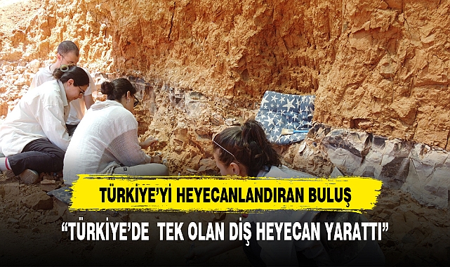 Beyağaç'ta Türkiye tek örnek olan fil dişi fosili bulundu
