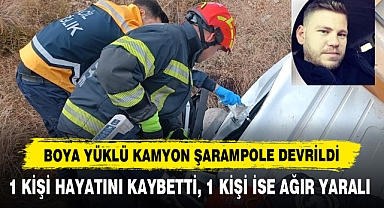 Boya Yüklü Kamyon Şarampole Devrildi
