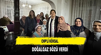 CHP'li Köksal Doğalgaz Sözü Verdi
