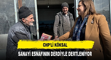 CHP'li Köksal Sanayi Esnafının Dertleriyle Dertleniyor