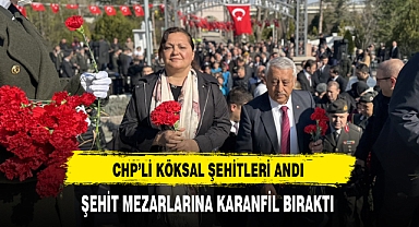 CHP'li Köksal Şehitleri Andı Şehit Mezarlarına Karanfil Bıraktı