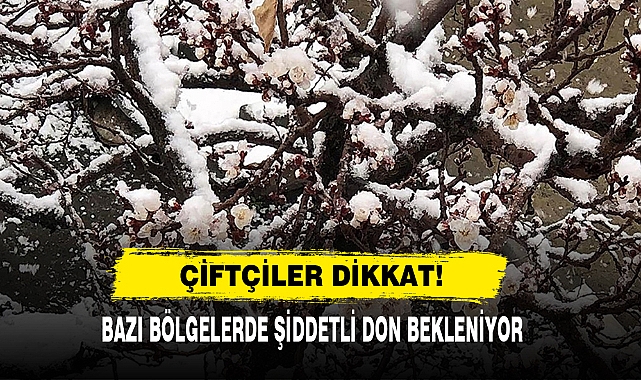 Çiftçiler Dikkat! Bazı Bölgelerde Şiddetli Don Bekleniyor
