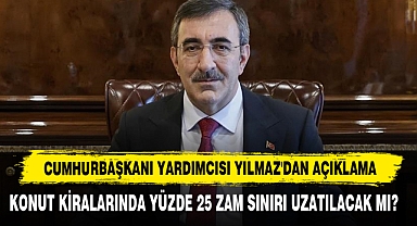 Cumhurbaşkanı Yardımcısı Yılmaz'dan Açıklama