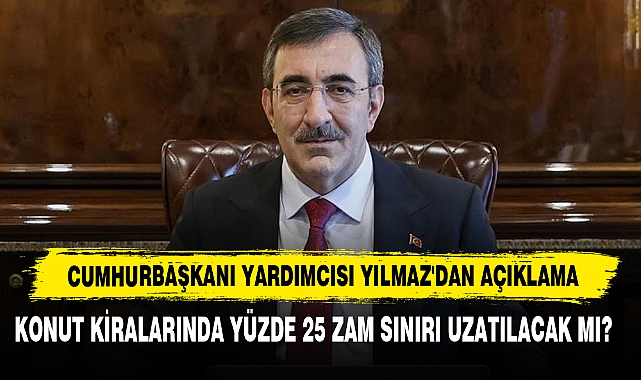 Cumhurbaşkanı Yardımcısı Yılmaz'dan Açıklama