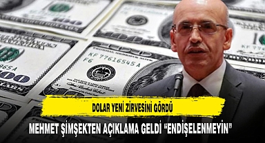DOLAR YENİ ZİRVESİNİ GÖRDÜ ŞİMŞEKTEN AÇIKLAMA GELDİ