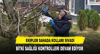 Ekipler Sahada Kolları Sıvadı Bitki Sağlığı Kontrolleri Devam Ediyor