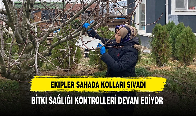Ekipler Sahada Kolları Sıvadı Bitki Sağlığı Kontrolleri Devam Ediyor