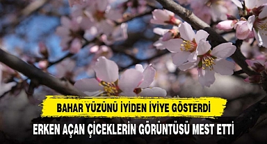 Erken çiçek açan ağaçların görüntüsü mest etti