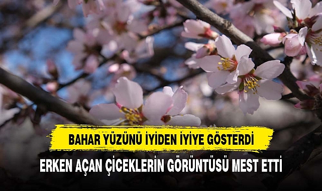 Erken çiçek açan ağaçların görüntüsü mest etti