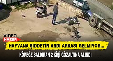 Hayvana Şiddetin Ardı Arkası Gelmiyor...