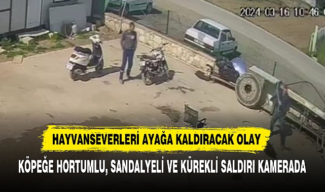 HAYVANSEVERLERİ AYAĞA KALDIRACAK OLAY