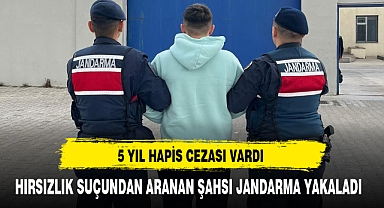 HIRSIZLIK SUÇUNDAN ARANAN ŞAHSI JANDARMA YAKALADI