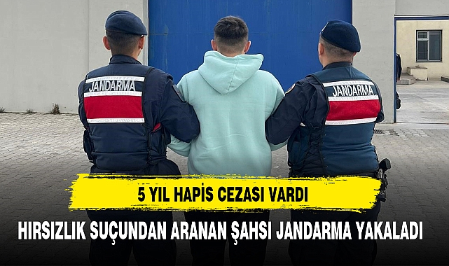 HIRSIZLIK SUÇUNDAN ARANAN ŞAHSI JANDARMA YAKALADI 