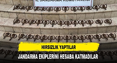 Hırsızlık Yaptılar Jandarmayı Hesaba Katmadılar