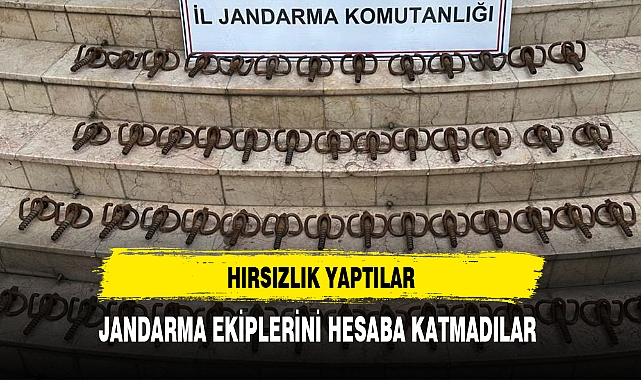 Hırsızlık Yaptılar Jandarmayı Hesaba Katmadılar