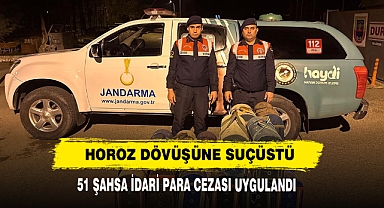 Horoz Dövüşüne Suçüstü