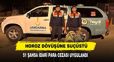 Horoz Dövüşüne Suçüstü