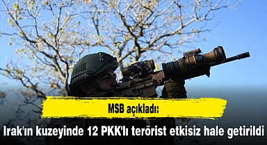 Irak'ın kuzeyinde 12 PKK'lı terörist etkisiz hale getirildi