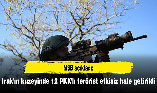 Irak'ın kuzeyinde 12 PKK'lı terörist etkisiz hale getirildi
