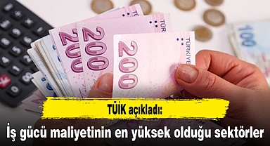 İş gücü maliyetinin en yüksek olduğu sektörler