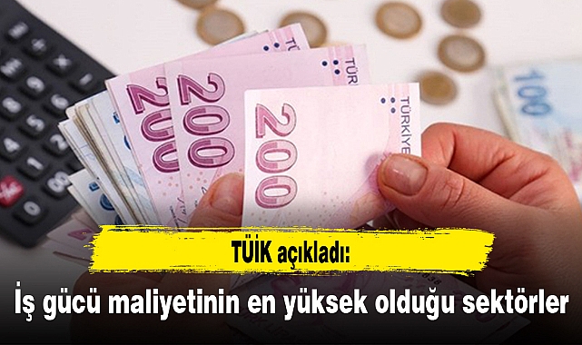 İş gücü maliyetinin en yüksek olduğu sektörler