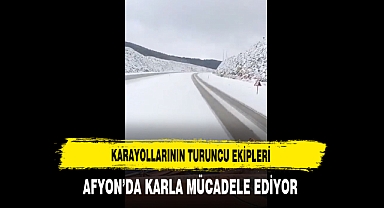 Karayollarının Turuncu Ekipleri Afyon'da Karla Mücadele Ediyor