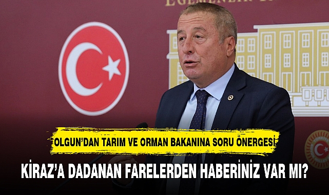 KİRAZ’A DADANAN FARELERDEN HABERİNİZ VAR MI?