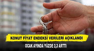 Konut Fiyat Endeksi Verileri Açıklandı