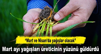 Mart ayı yağışları üreticinin yüzünü güldürdü