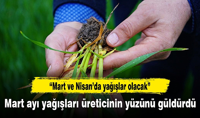 Mart ayı yağışları üreticinin yüzünü güldürdü