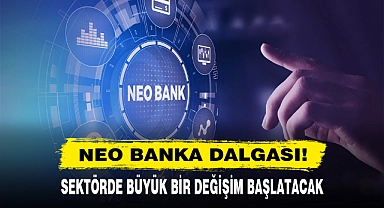 NEO BANKA DALGASI!