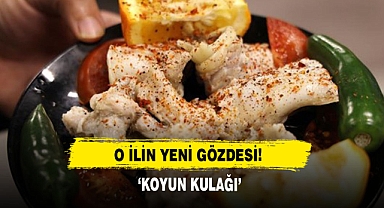 O İlin Yeni Gözdesi: ‘Koyun Kulağı’