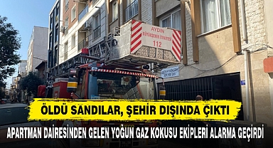 Öldü Sandılar, Şehir Dışında Çıktı