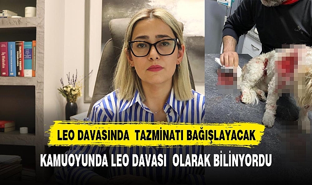 Öldürülen köpek ‘Leo’ davasında tüm tazminat sokak hayvanlarına bağışlanacak