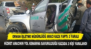 Orman İşletme Müdürlüğü Aracı Kaza Yaptı: 3 Yaralı