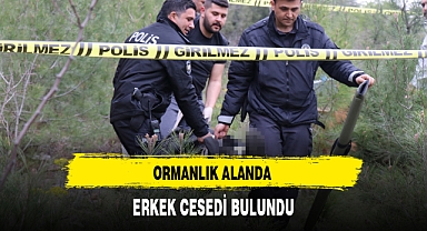 Ormanlık Alanda Erkek Cesedi Bulundu