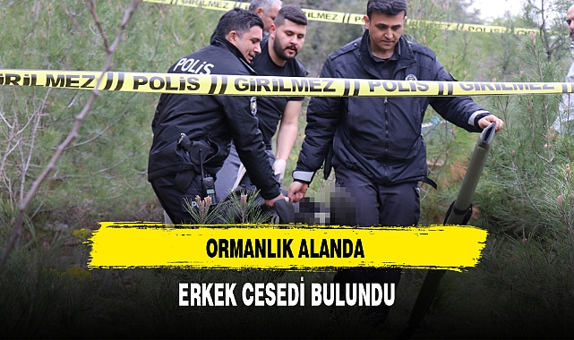 Ormanlık Alanda Erkek Cesedi Bulundu