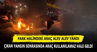 Park Halindeki Araç Alev Alev Yandı