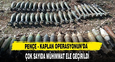 Pençe-Kaplan'da çok sayıda mühimmat ele geçirildi