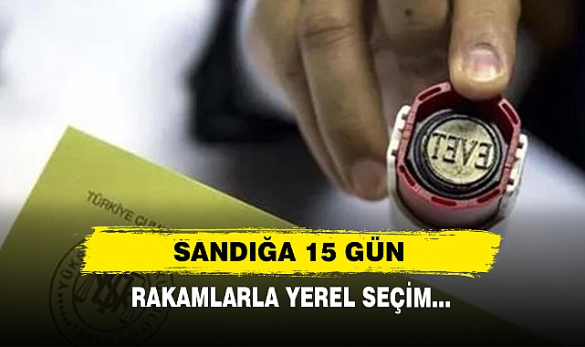 Sandığa 15 Gün: Rakamlarla Yerel Seçim...