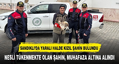 SANDIKLI'DA YARALI HALDE KIZIL ŞAHİN BULUNDU