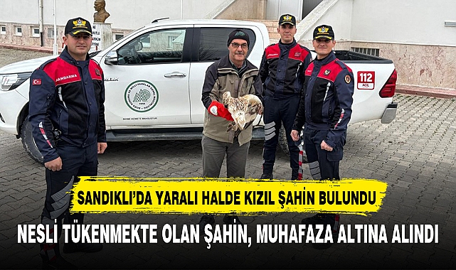 SANDIKLI'DA YARALI HALDE KIZIL ŞAHİN BULUNDU