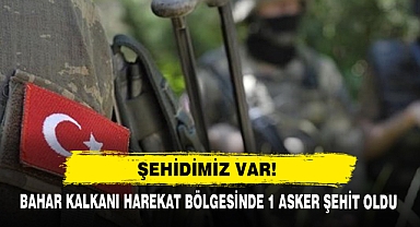 Şehidimiz Var! Bahar Kalkanı Harekat Bölgesinde 1 Asker Şehit Oldu