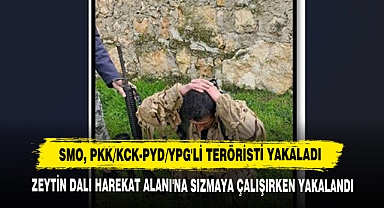 SMO, PKK/KCK-PYD/YPG'li Teröristi Yakaladı